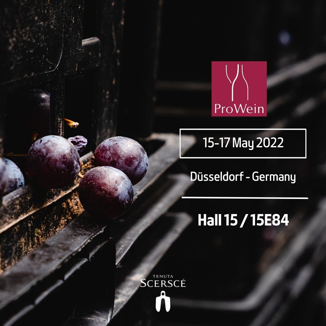 Prowein 2022 tenuta scerscé